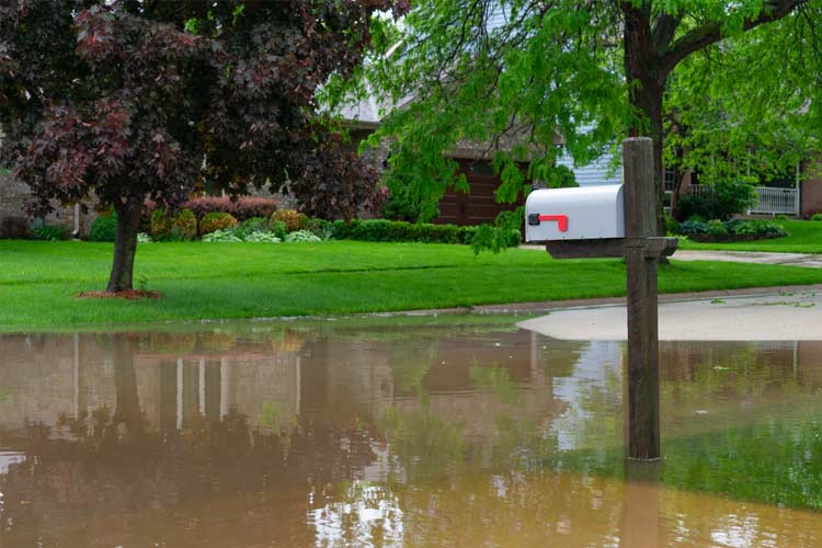 How to Buy Flood Insurance in Michigan Independent Agents