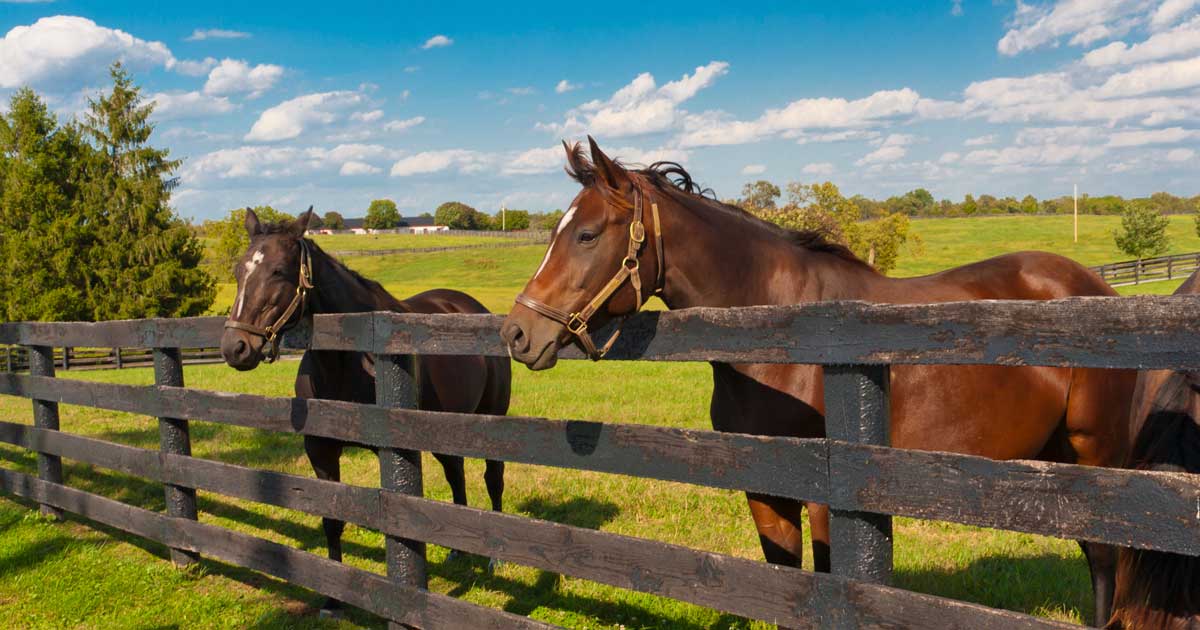 Best Farm Insurance Companies Kentucky Independent Agents