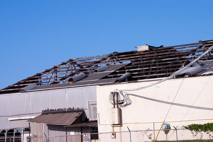 What does business income insurance cover in Florida