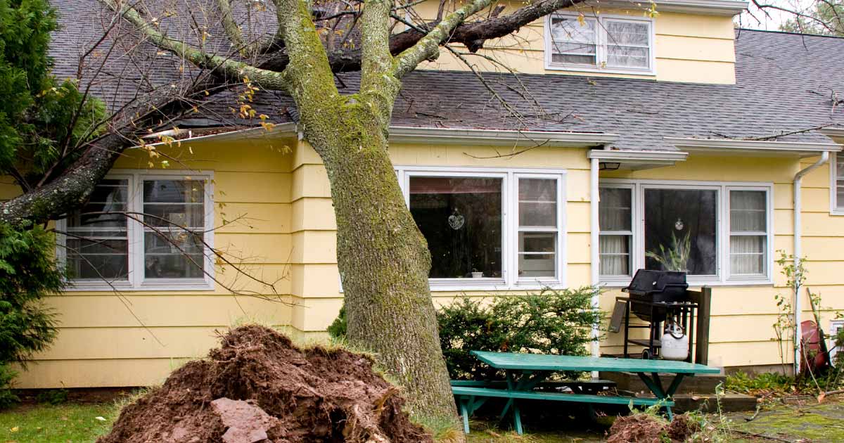 Does Home Insurance Cover Roof Damage, Does Insurance Cover Landscaping