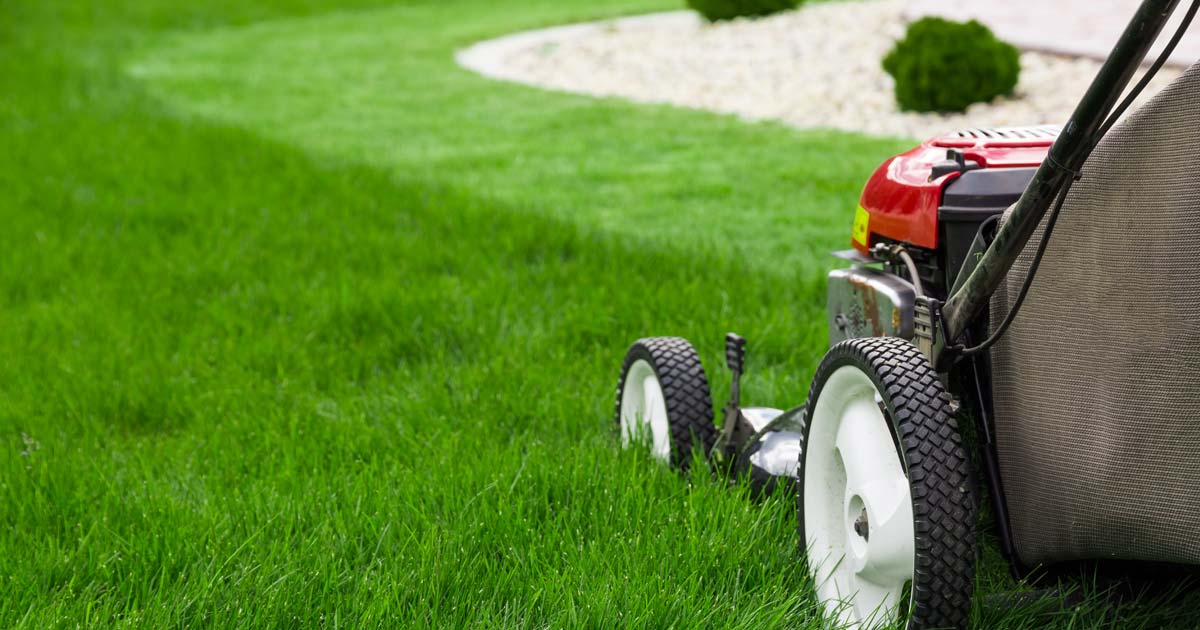 Lawn Care Business Insurance Cost | Florida | Independent Agents