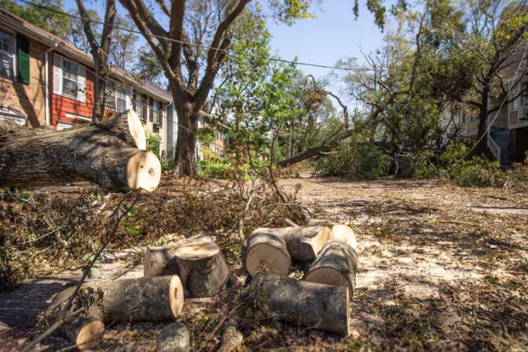 How to Stay Safe during a Hurricane in South Carolina Independent Agents