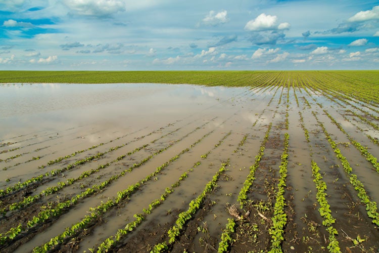 Mississippi Crop Hail Insurance
