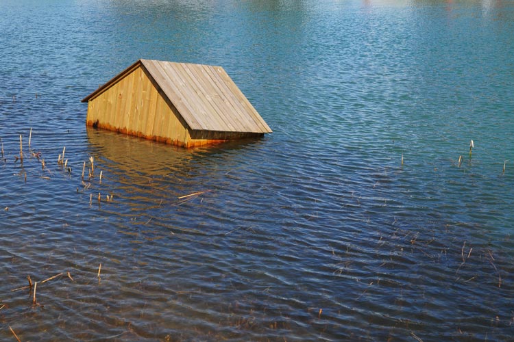 Mississippi Flood Insurance