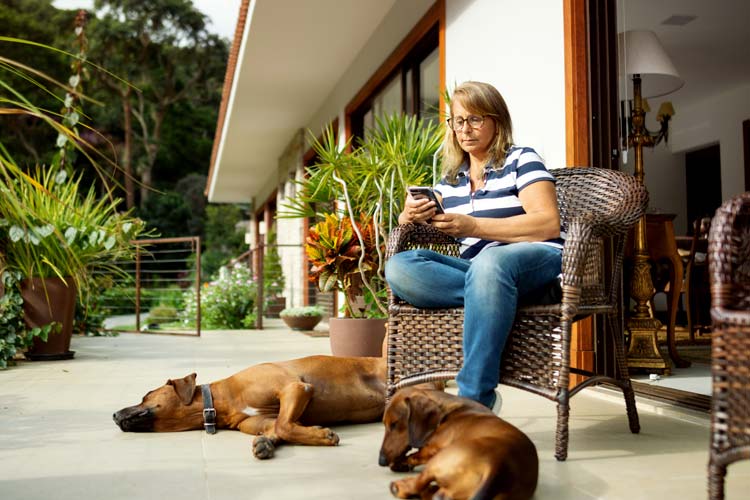 Woman using cell phone at home sitting outside near dogs. Who's responsible if my neighbors dog bites a stranger on my property in Florida?