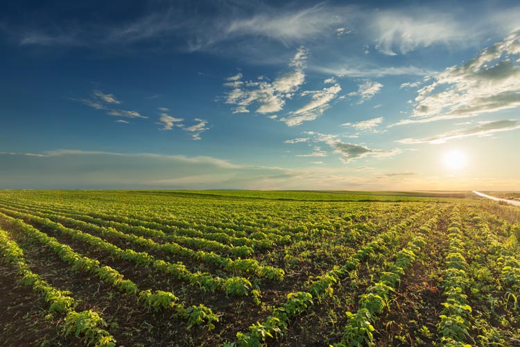 Kentucky Farm Land Liability Insurance