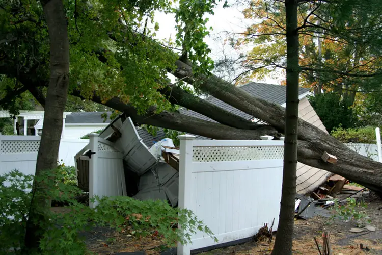 Tree falls on neighbors property during hurricane. My Neighbor's Property Damaged Mine During a Hurricane: Who's Responsible?