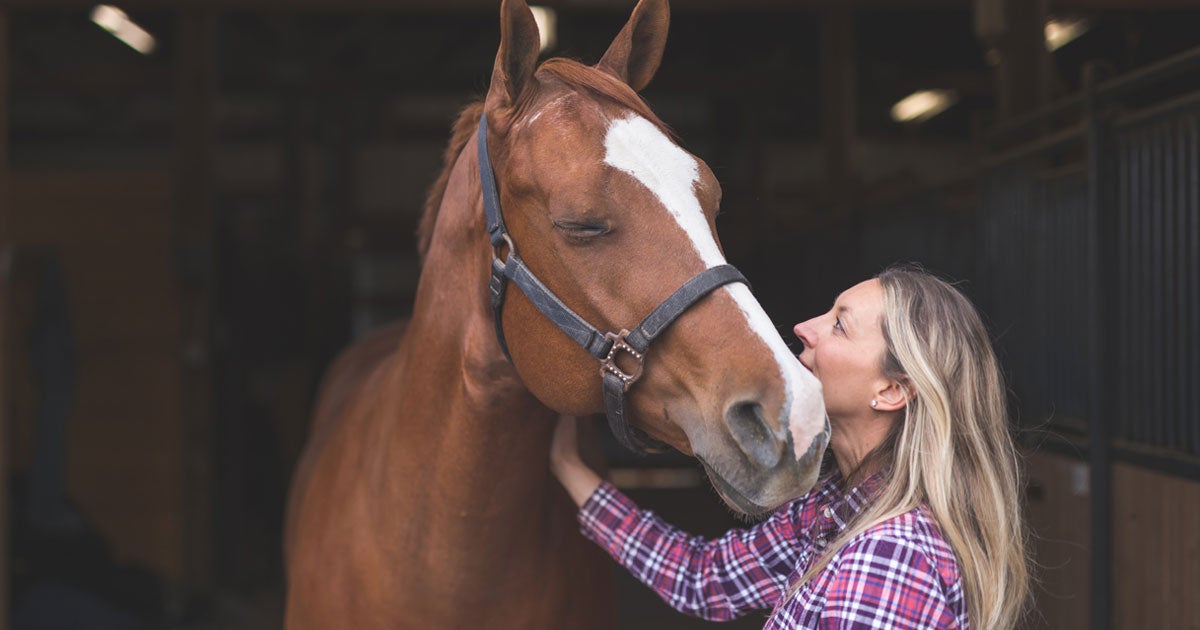 Equine Insurance Tennessee Independent Agents