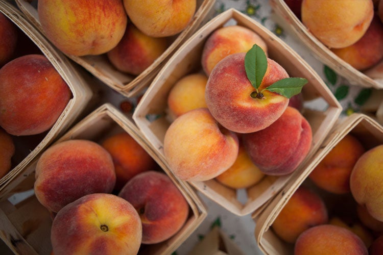 Peach Farm Insurance