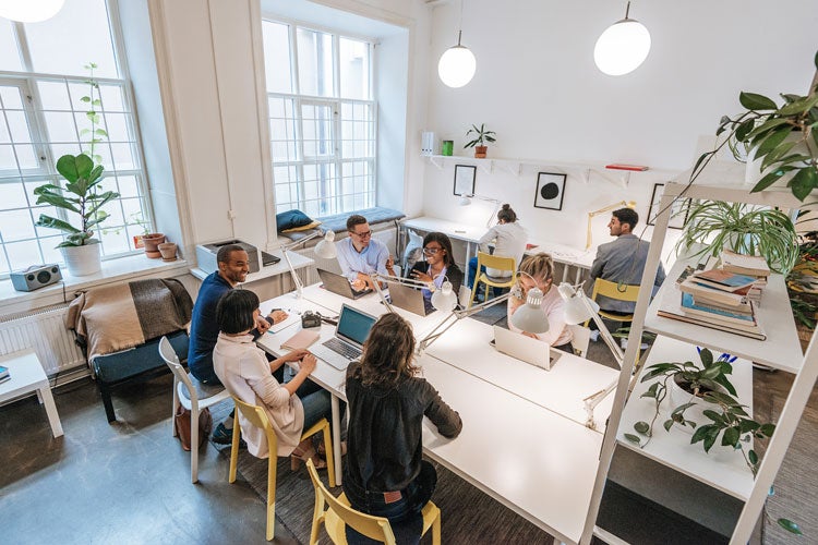 How much does insurance cost for a startup business in Florida