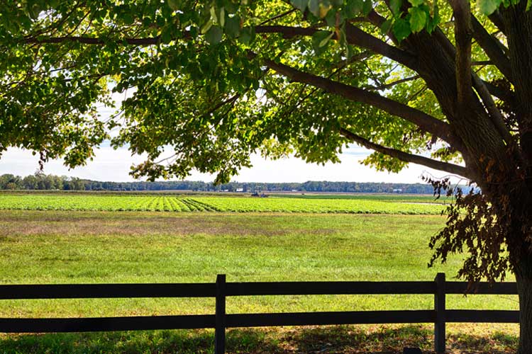 New Jersey Farm Land Liability Insurance