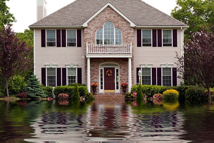 Hurricane Sandy Exposed