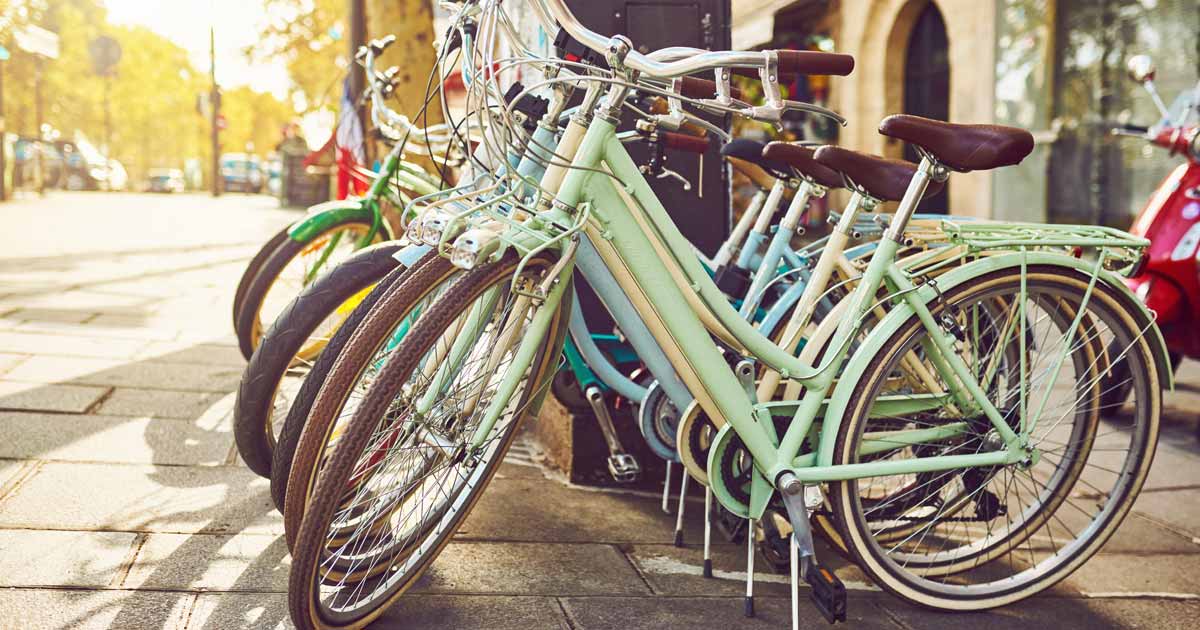 oliver's bike shop new tampa