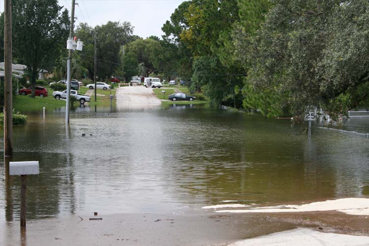 Flooding on street in Illinois. How much is flood insurance in Illinois? 