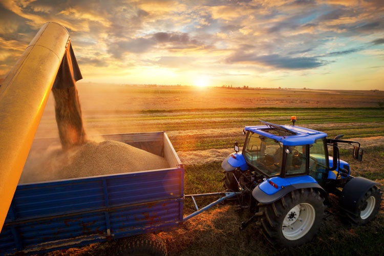 Tennessee Farm Insurance