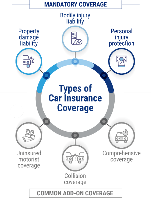 what-s-the-average-cost-of-car-insurance-in-florida-for-2024-the-zebra