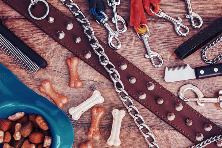 Florida Pet Store Insurance