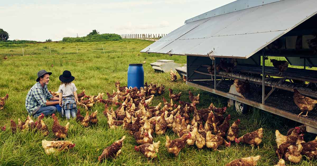 Best Farm Insurance Companies In Tennessee Independent Agents