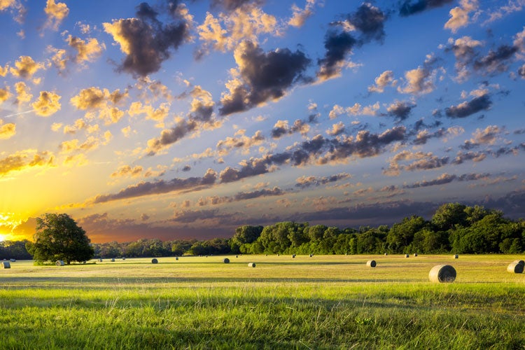 Mississippi Farm Insurance