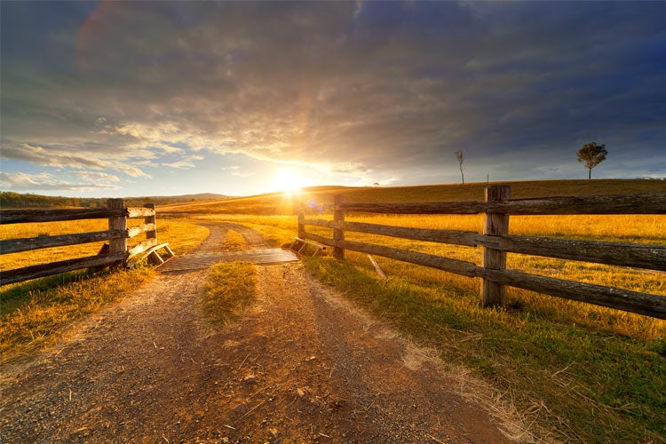 Mississippi Farm and Ranch Insurance