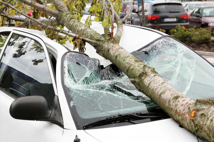 does-car-insurance-cover-storm-damage-mississippi-independent-agents