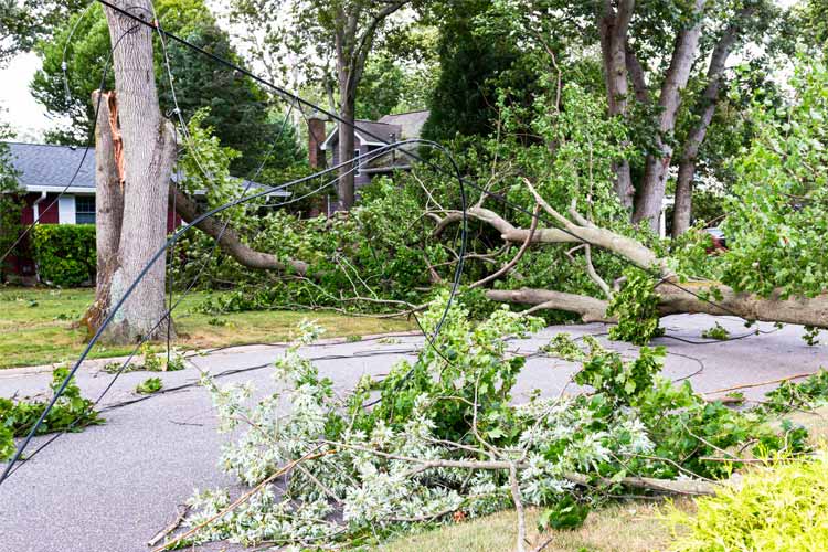 Kentucky Does Homeowners Insurance Cover Tornado Damage