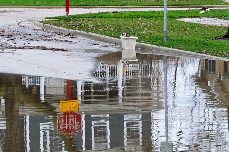 How much does flood insurance cost in Illinois 