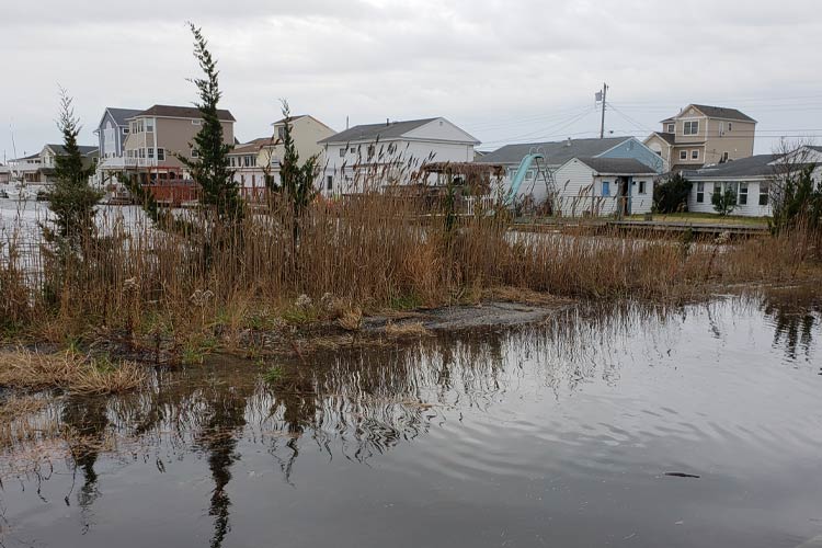 Do I need flood insurance