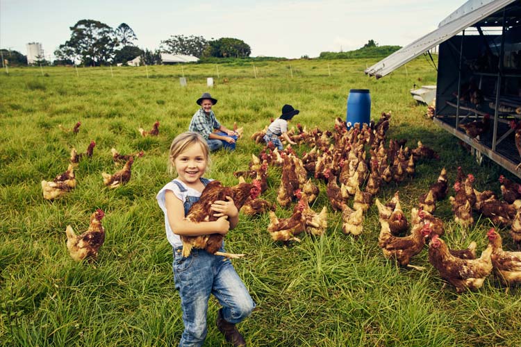 Kentucky Life Insurance