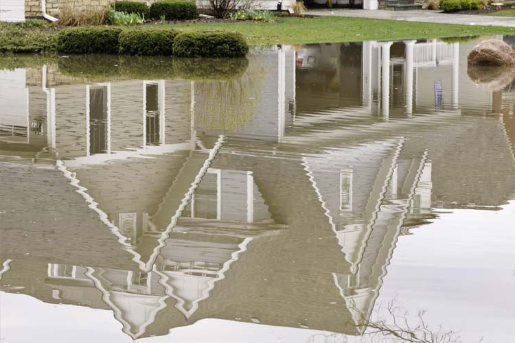 How Much Is Flood Insurance in Michigan? Independent Agents How Much Is Flood Insurance in Michigan? Independent Agents