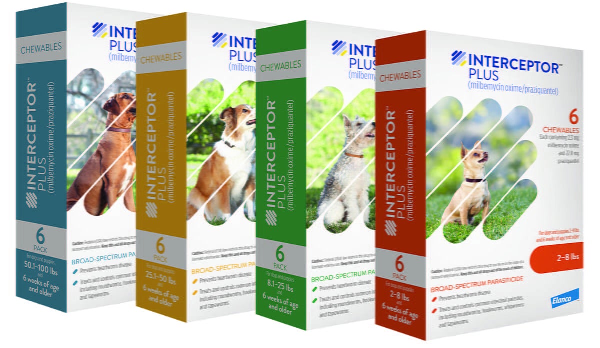 monthly-chewable-dog-dewormer-about-interceptor-plus-for-dogs