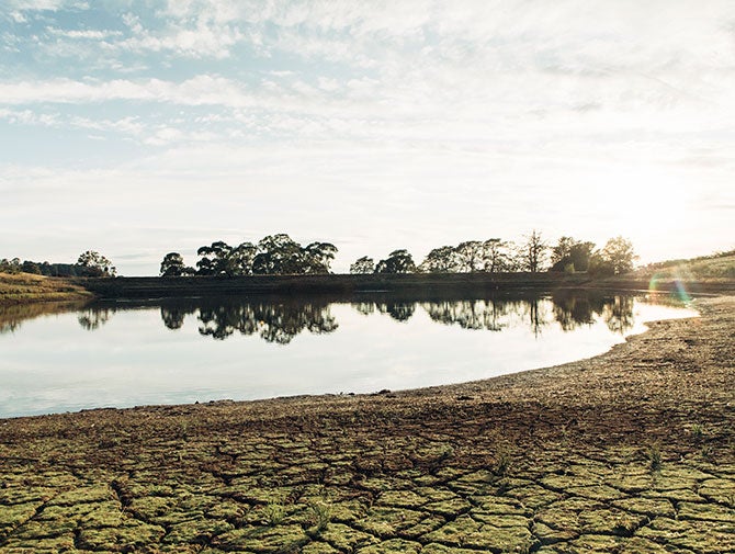 Australian Wine The ultimate guide to New South Wales wine regions