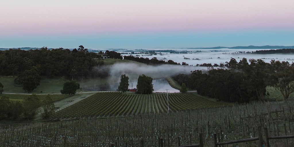 Australian Wine The ultimate guide to Victoria’s wine regions