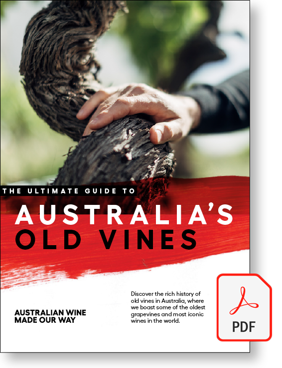 Australian Wine Do old vines make the best wines?