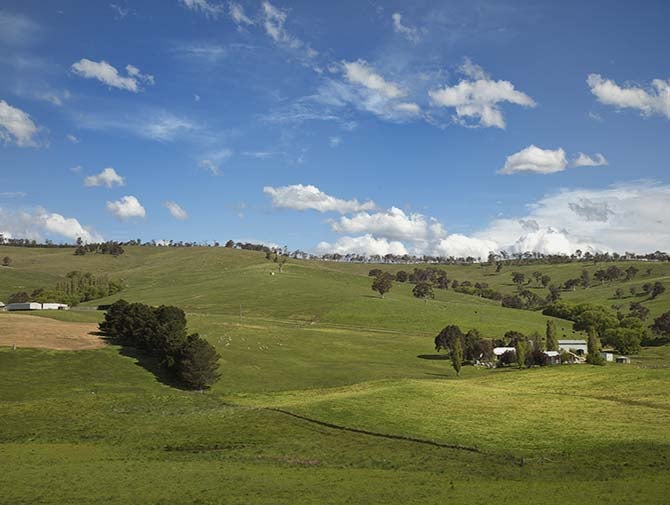 Australian Wine  Alpine Valleys Wine Region