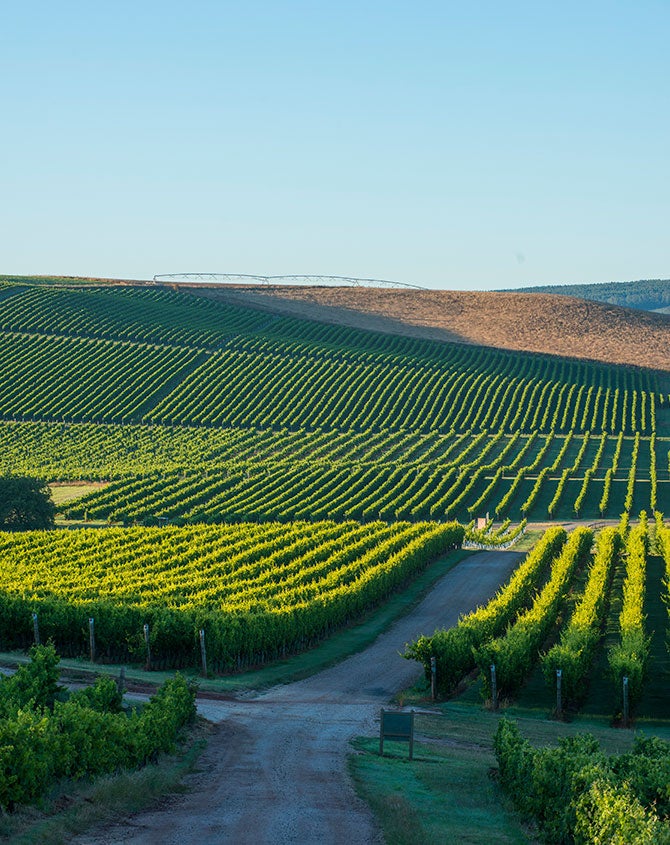 Australian Wine Australia’s 8 most popular wine regions