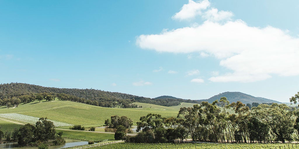 Australian Wine Yarra Valley wine region
