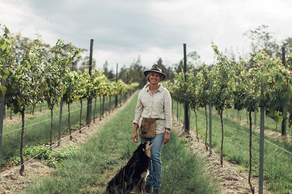 Granite Belt winemaker Mike Hayes is taking steps to adapt to