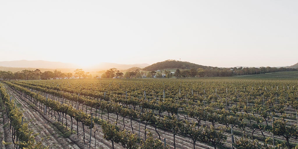 Australian Wine | Granite Belt wine region