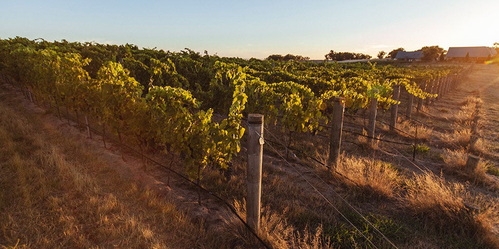 Australian Wine Beechworth Wine Region