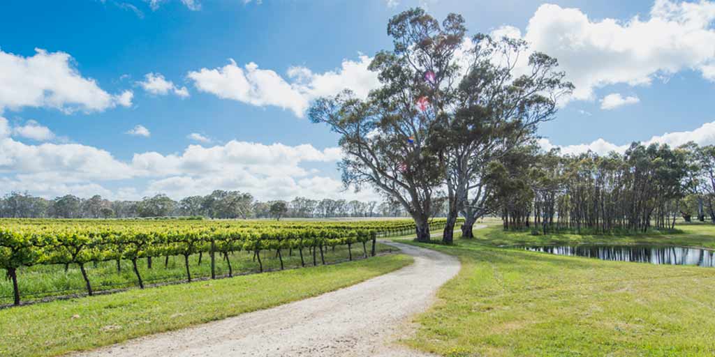 Australian Wine Wrattonbully Wine Region