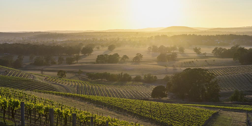 Australian Wine Hunter Valley Wine Region