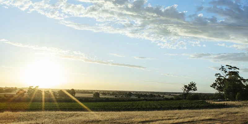 Australian Wine Dessert and fortified wines