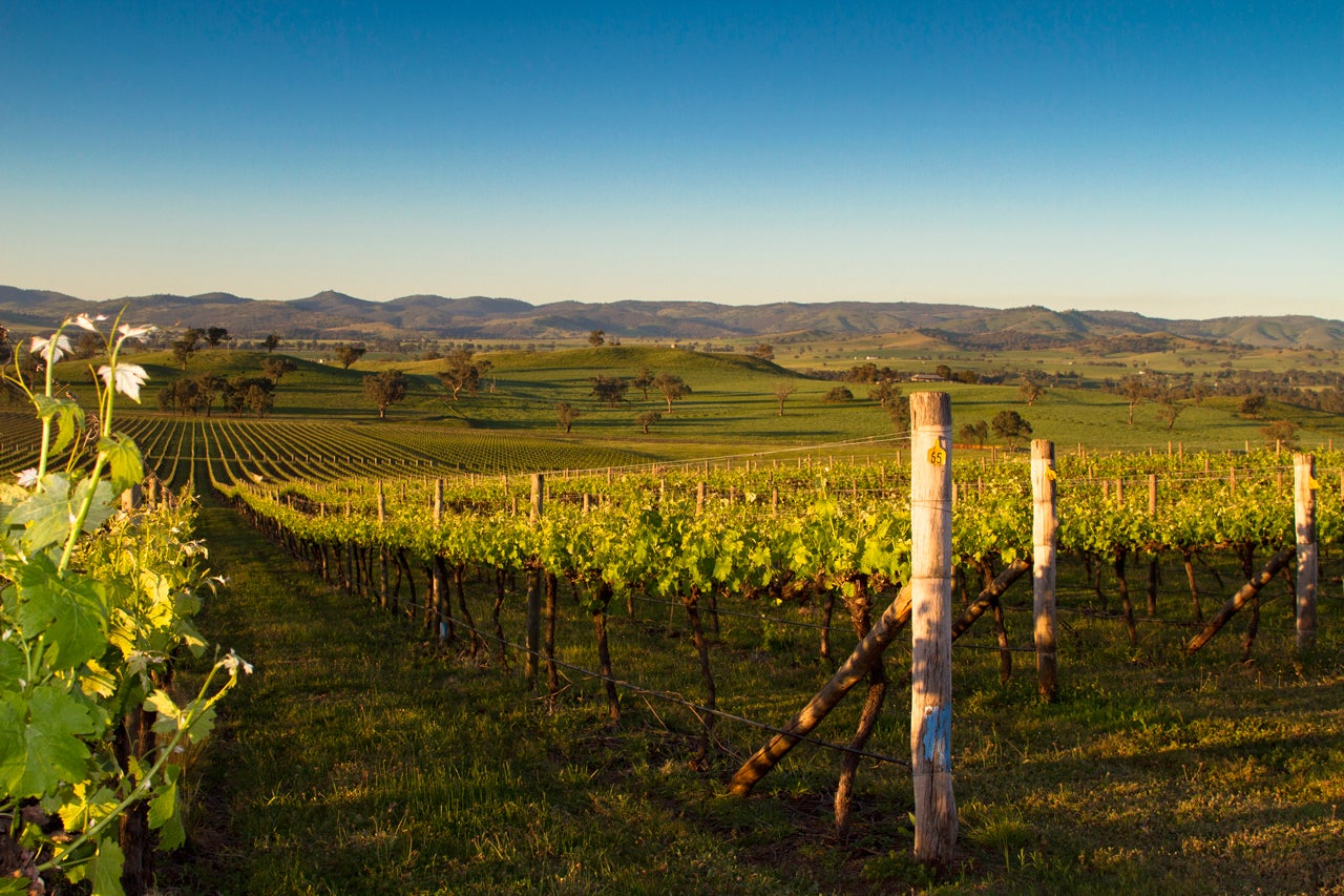 Australian Wine | Gundagai wine region