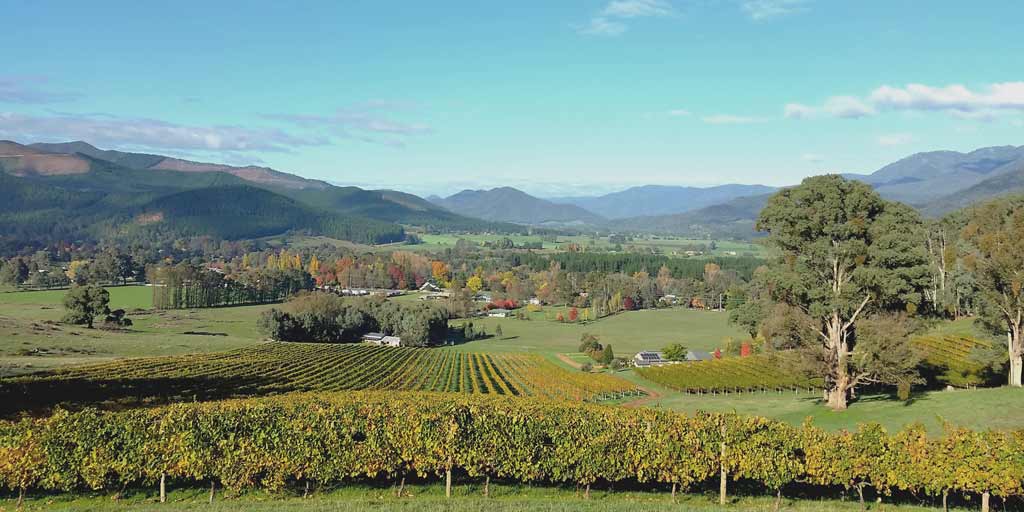 Australian Wine Victoria