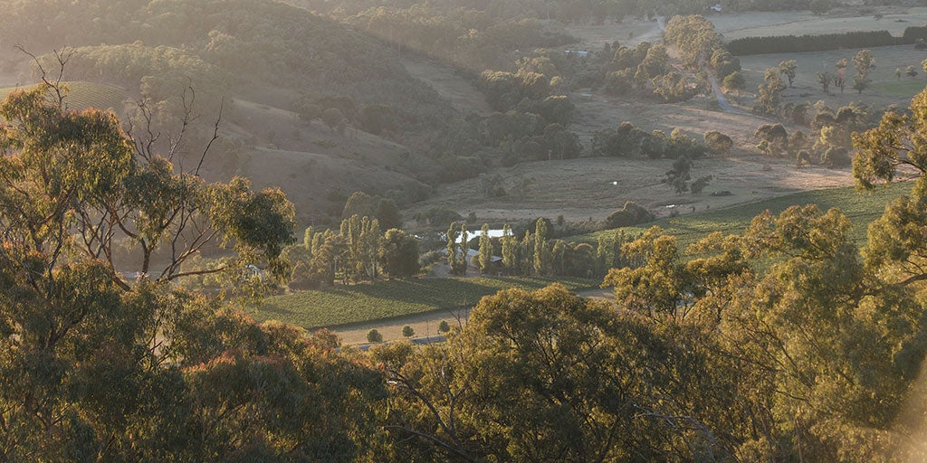 Australian Wine King Valley wine region