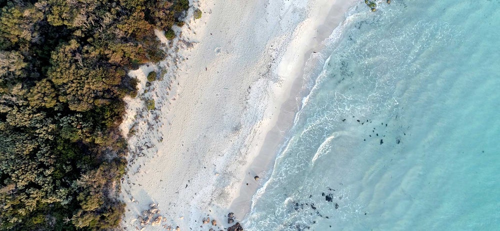 Australian Wine Events