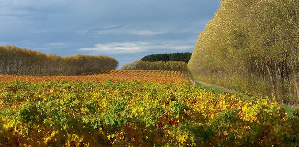 Mount Macedon Mountain Winery Near Me Mount Macedon Winery