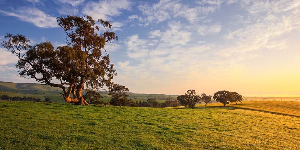 Australian Wine | Southern Fleurieu wine region