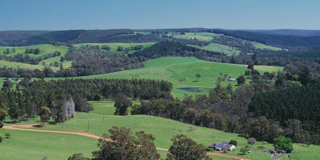 Australian Wine Blackwood Valley Wine Region